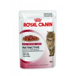 Royal Canin Instinctive in jelly ชนิดเปียก สำหรับแมวโต 85 g