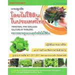 การปลูกพืชโดยไม่ใช้ดินในประเทศไทย
